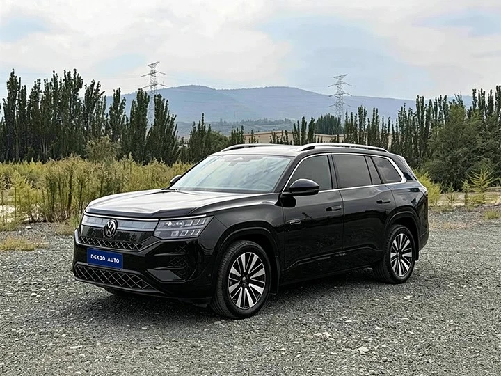 2025Pro-1 2025Pro-1