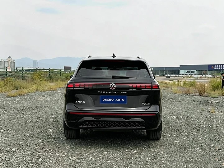 2025Pro-5 2025Pro-5